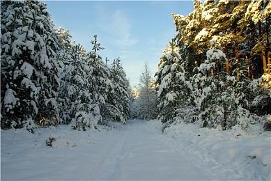 中国没有GTA 但《黑神话》打响了中国3A大作浪潮第一枪